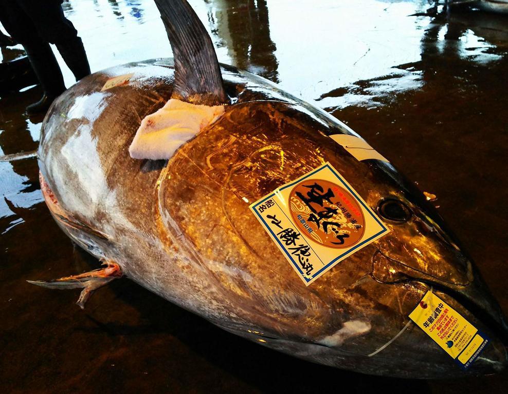 パルスイン勝浦 エクステリア 写真